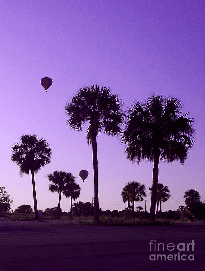 Sunset Photograph - Purple Sky by Kelly Council Sunset Photograph - Purple Sky by Kelly Council