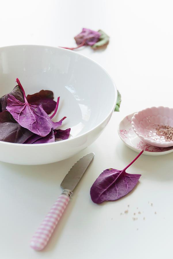 Purple Spinach Leaves And Sea Salt Photograph by Au Petit Gout Photography Llc