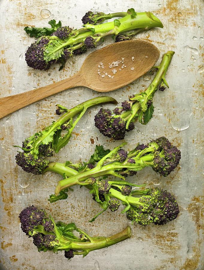 Purple Sprouting Broccoli With Rock Salt Photograph by Clive Sherlock