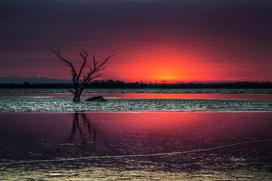Purple Sunrise Photograph by Crystal Socha