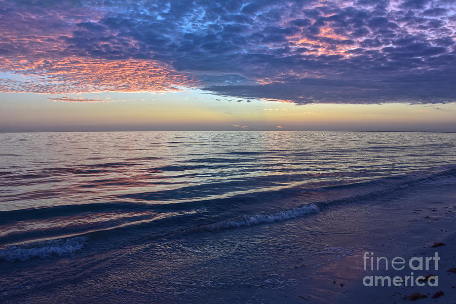 Purple Sunset Afterglow, Florida Photograph
