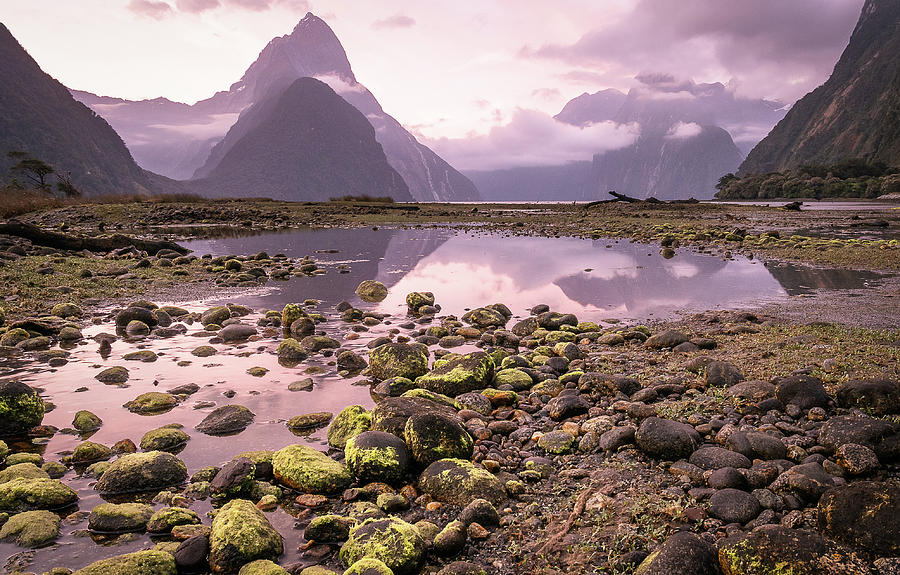Colourful Sunset Above Milford Sound In New Zealand Photograph by Peter Kolejak