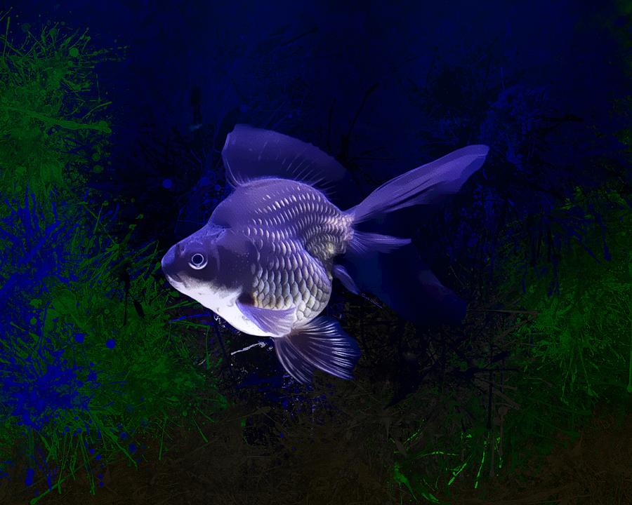 Purple Tamasaba Goldfish Digital Art