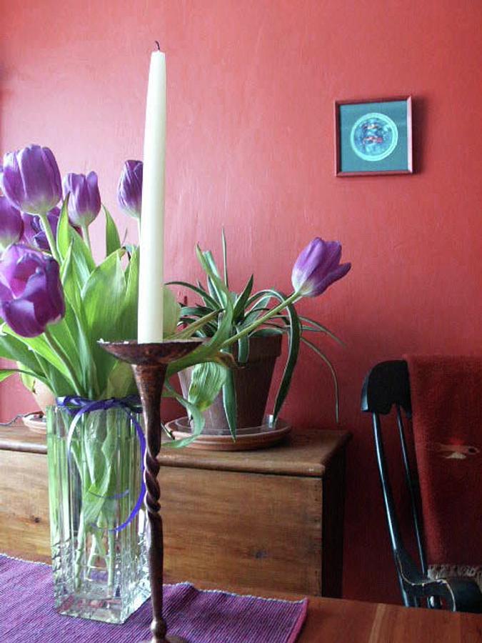 Purple Tulips Photograph by Glory Ann Penington