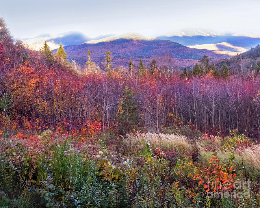 Purple Valley 1 Photograph By Cheryl Del Toro - Fine Art America