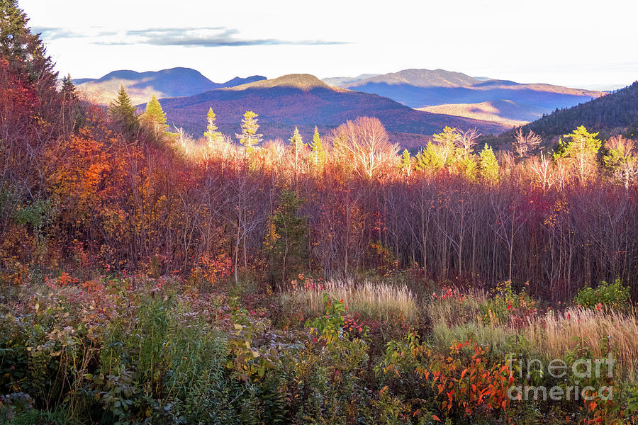 Purple Valley 2 Photograph by Cheryl Del Toro | Fine Art America