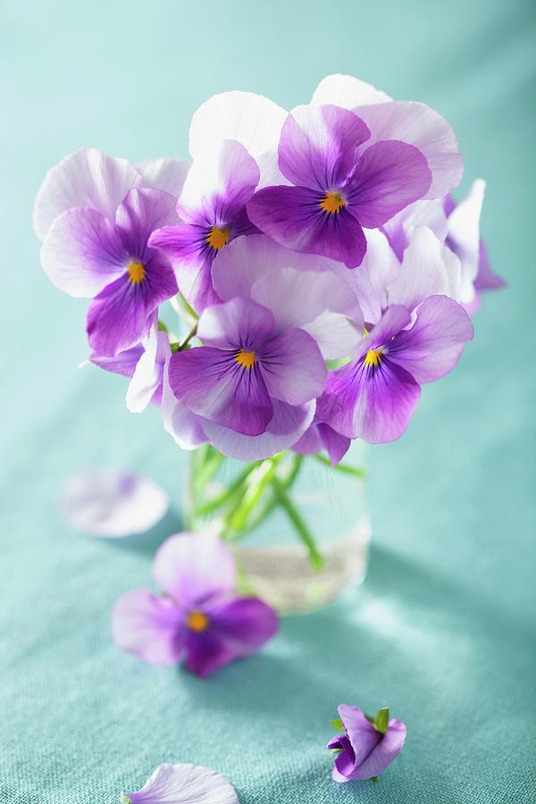 Purple Violas In Glass Of Water Photograph by Olga Miltsova