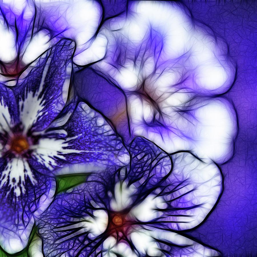 Flower Photograph - Purple White Flower Abstract by Cindy Boyd