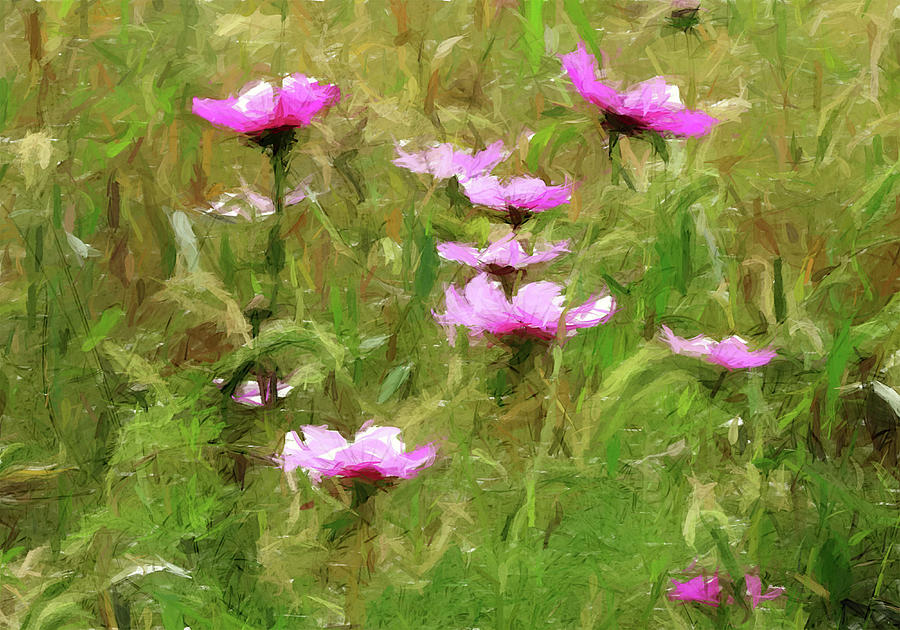 Purple Wild Flowers Field Mixed Media