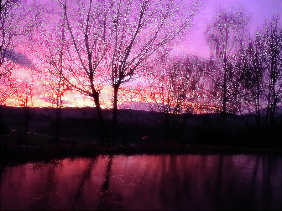 Purple Winter Sunset Over The Lake Photograph