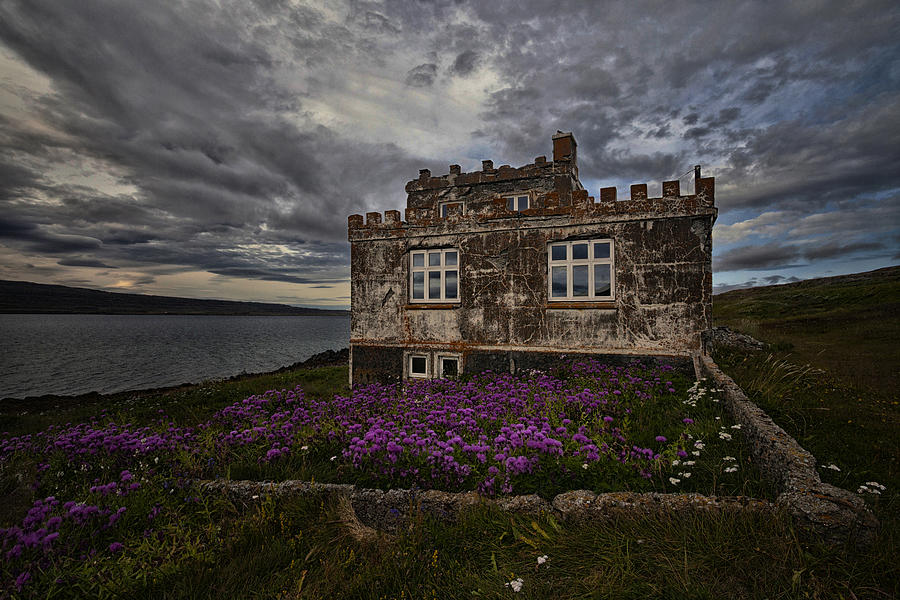 Purple Yard Photograph by orsteinn H. Ingibergsson