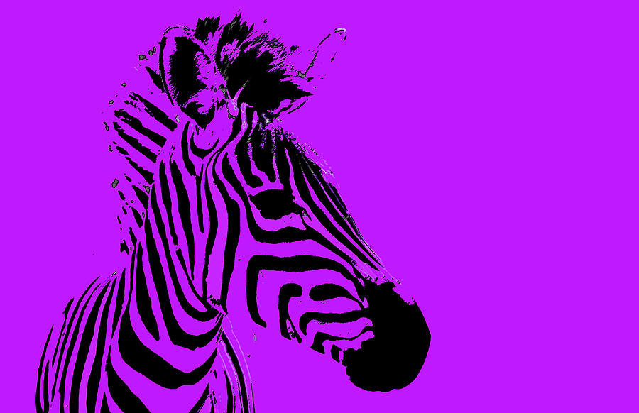 Purple zebra”??