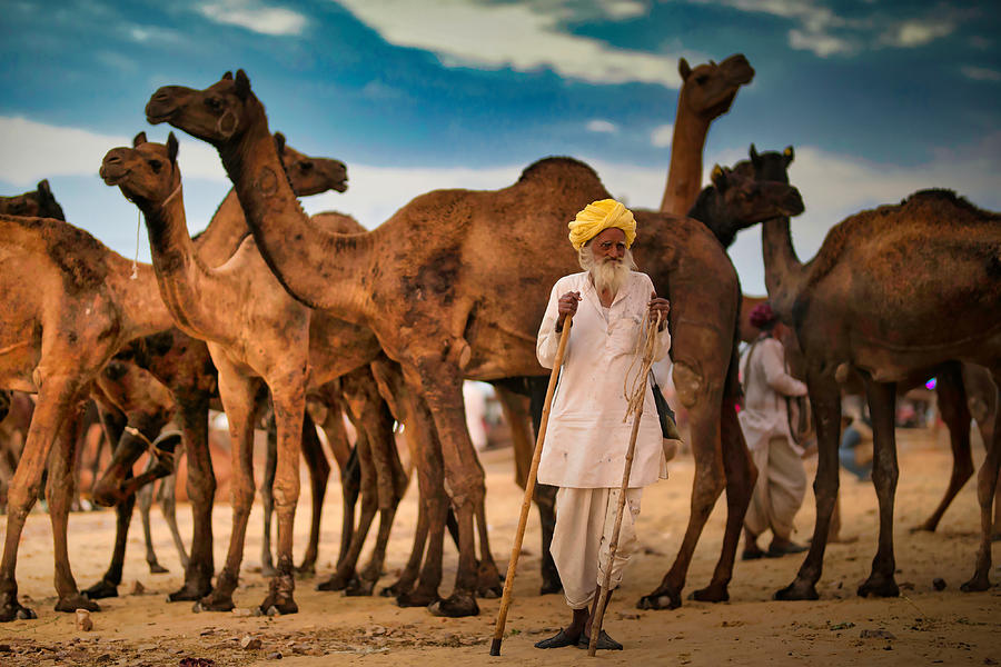 Street Photograph - Pushkar Camel Fair by Rahul Wedpathak