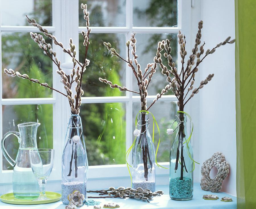 Pussy Willow In Glass Bottles On Window-sill Photograph by Friedrich Strauss
