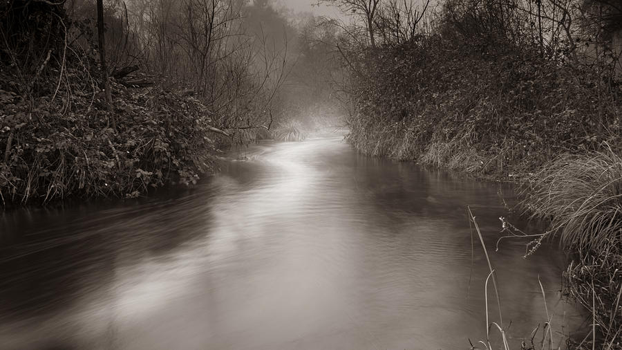 Putah Creek on a foggy day Photograph by Alessandra RC