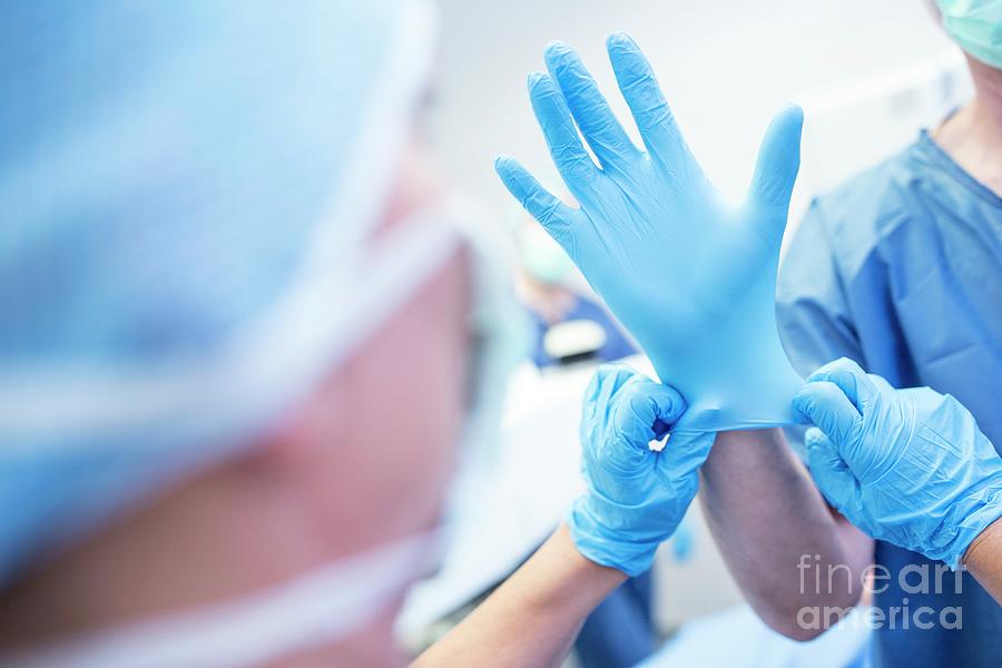 Glove Photograph - Putting Glove On Surgeon by Science Photo Library