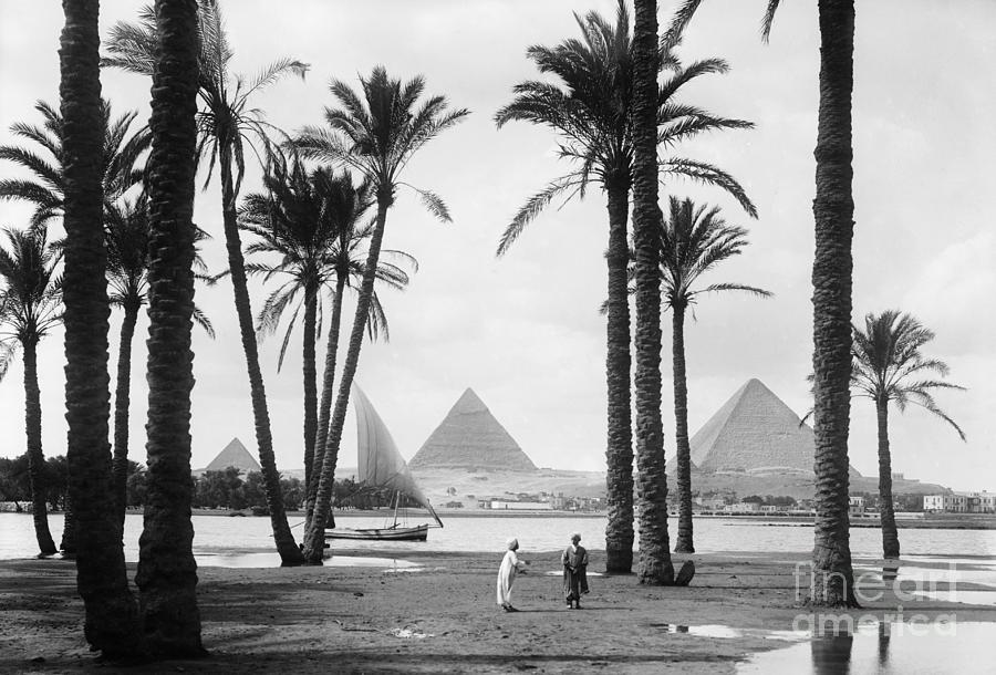 Pyramids And The Nile River Photograph by Bettmann