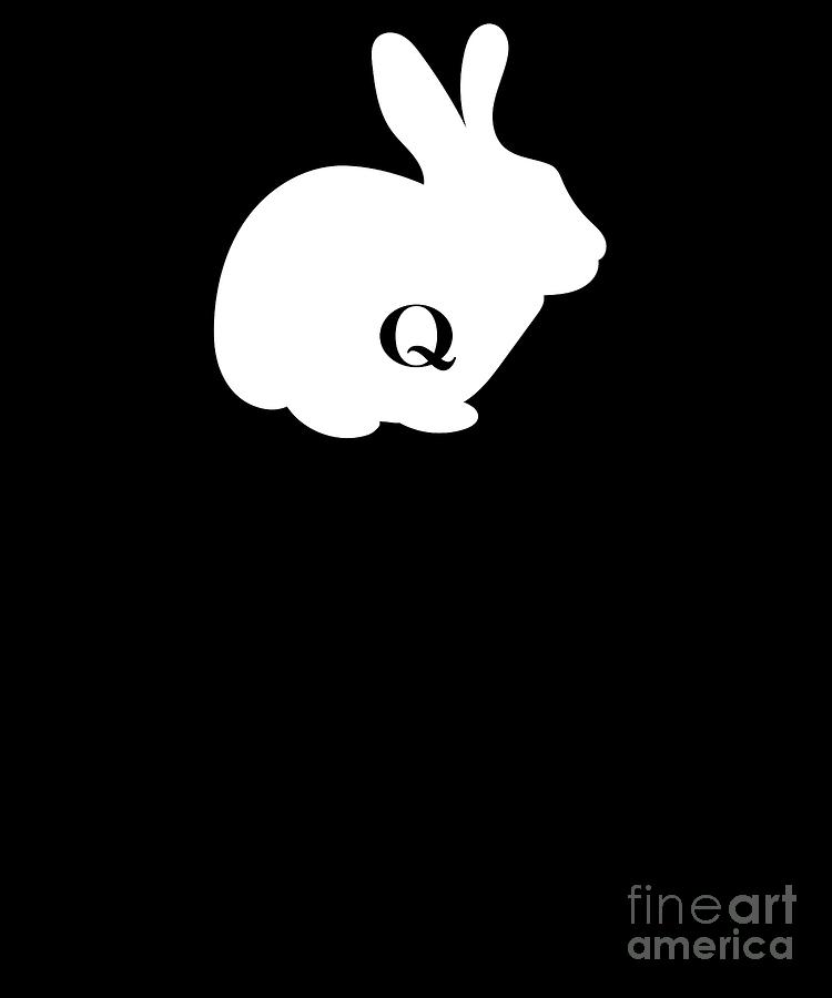 QAnon WWG1WGA Q Anon White Rabbit USA Follow It Digital Art by Henry B