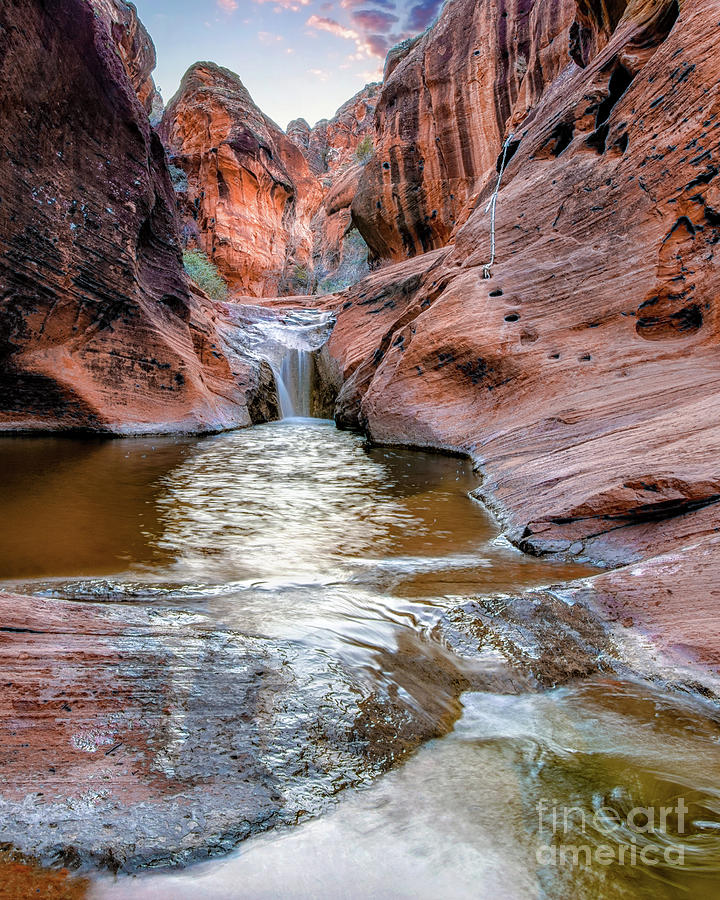 Quail Creek by Roxie Crouch Quail Creek by Roxie Crouch