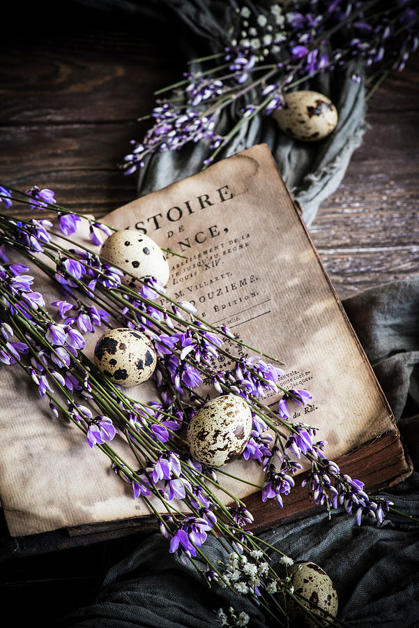 Quail Eggs And Purple Flowering Branches Between Open Pages Of An Old Book Photograph by Donna Crous