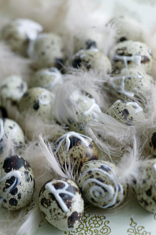 Quail Eggs Decorated With Letters And Patterns Amongst Feathers Photograph by Bjarni B. Jacobsen