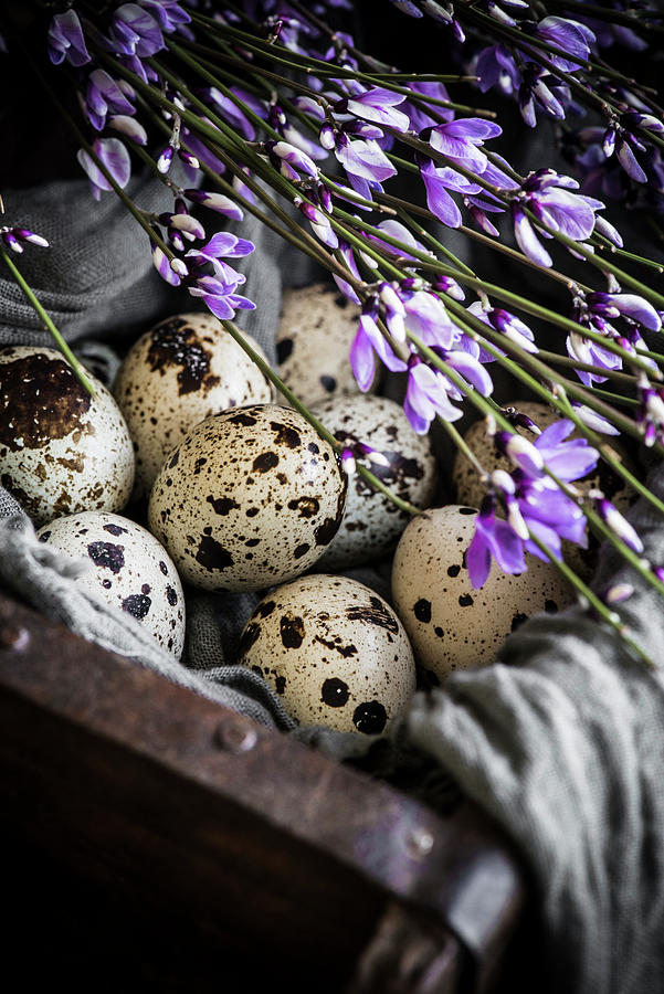 Quail Eggs In A Box Photograph by Donna Crous