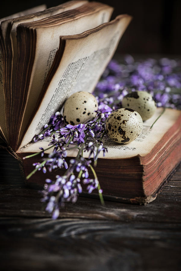 Quail Eggs In An Old Book Photograph by Donna Crous