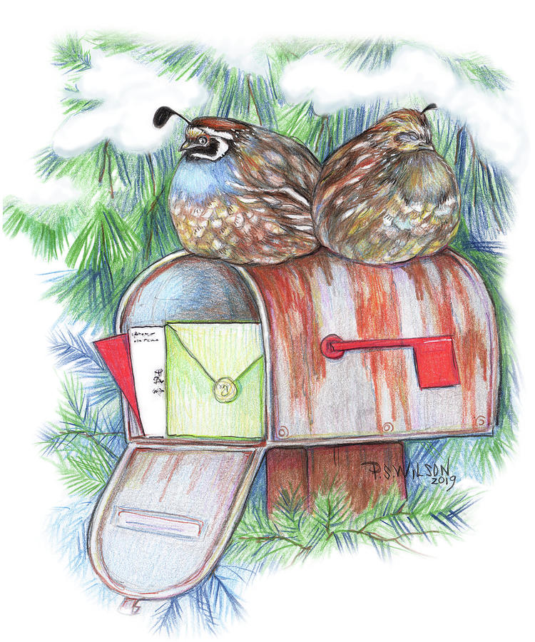 Quail Mail Painting by Peggy Wilson