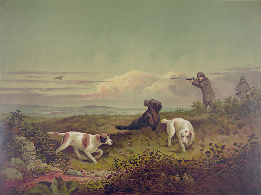Quail Shooting Painting by Unknown