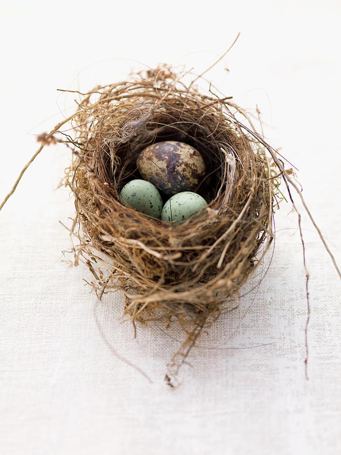 Quails Egg With Marzipan Egg In An Easter Nest Photograph by Eising Studio - Food Photo & Video