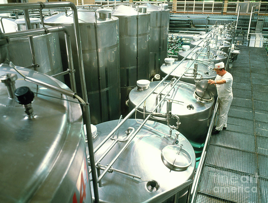 Quality Control In Yoghurt Factory. Photograph by Science Photo Library Quality Control In Yoghurt Factory. Photograph by Science Photo Library