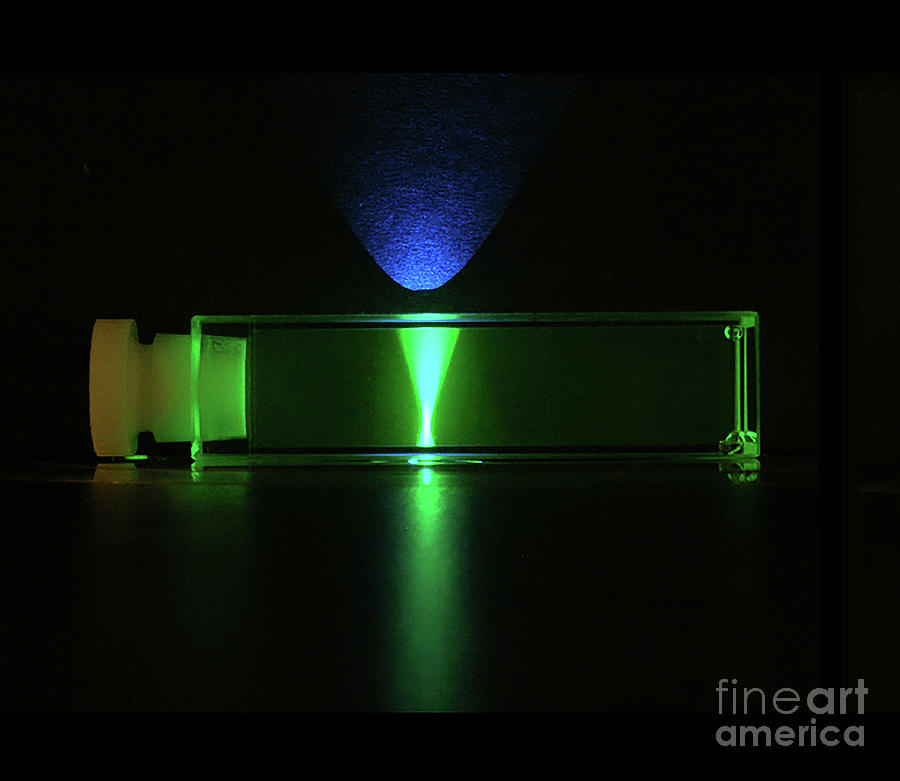 Quantum Dot Solution Fluorescing Photograph by Thomas Deerinck, Ncmir/science Photo Library