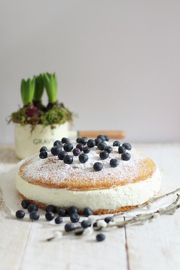 Quark Torte With Blueberries Photograph by Sylvia E.k Photography