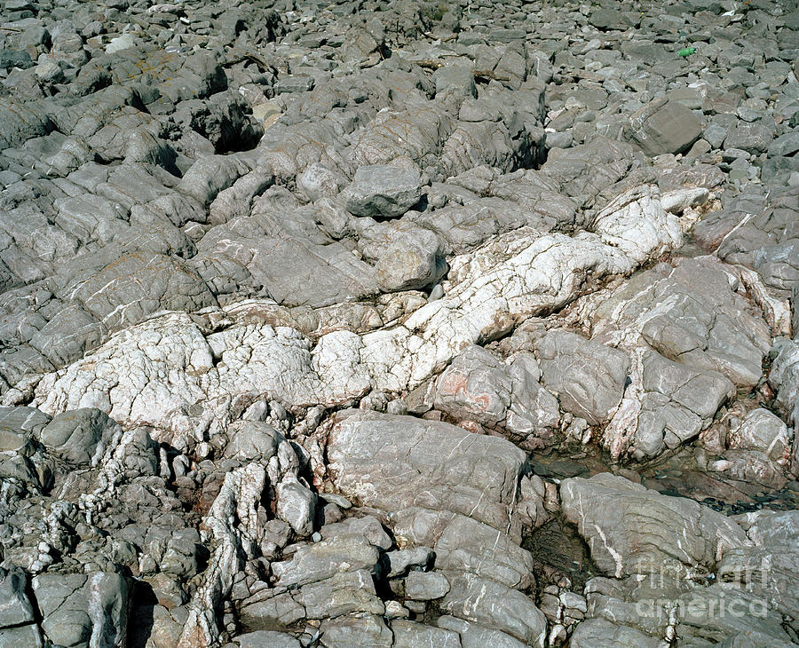 Quartz Mineral In Limestone Rock Photograph by Michael Marten/science Photo Library