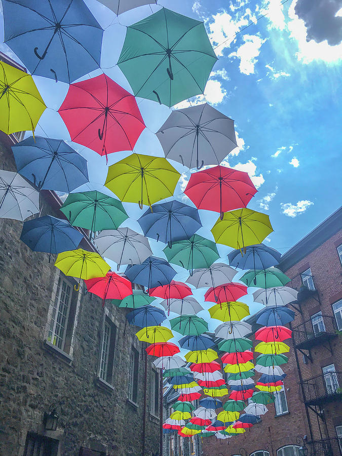Quebec City Umbrellas Photograph by Aaron Geraud