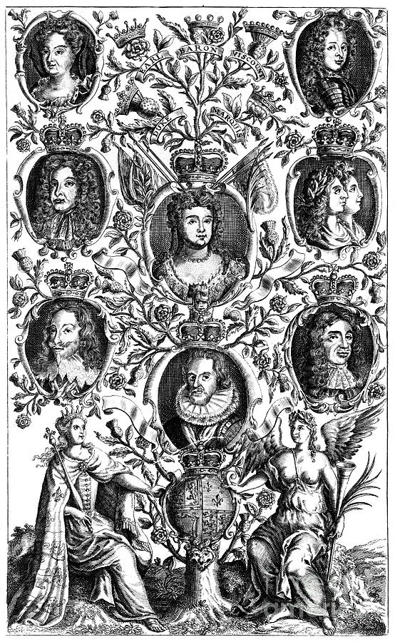 Queen Annes 1665-1714 Family Tree Drawing by Print Collector