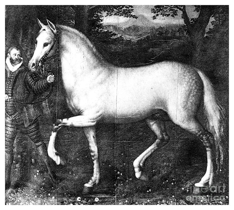 Queen Elizabeth Is Horse, 1896 Drawing by Print Collector