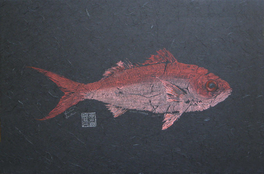 Queen Snapper - Coral on Black Background Painting by Adrienne Dye