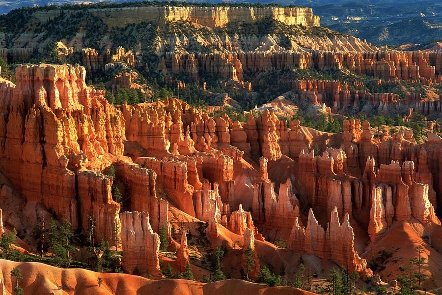 Queens Garden Hoodoos At Sunrise Photograph by Comstock Images