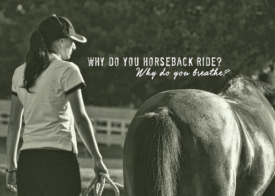 QUESTION OF PASSION quote Photograph by Dressage Design