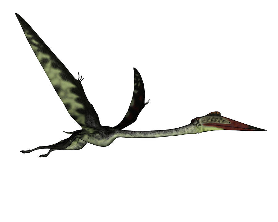 Quetzalcoatlus Flying Peacefully Ahead Photograph by Elena Duvernay
