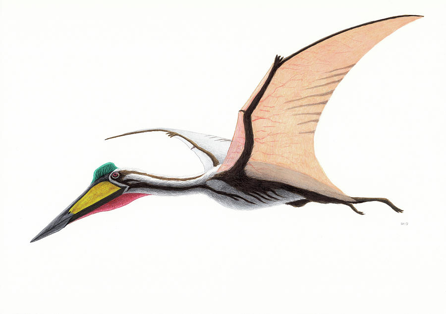 flying reptile quetzalcoatlus