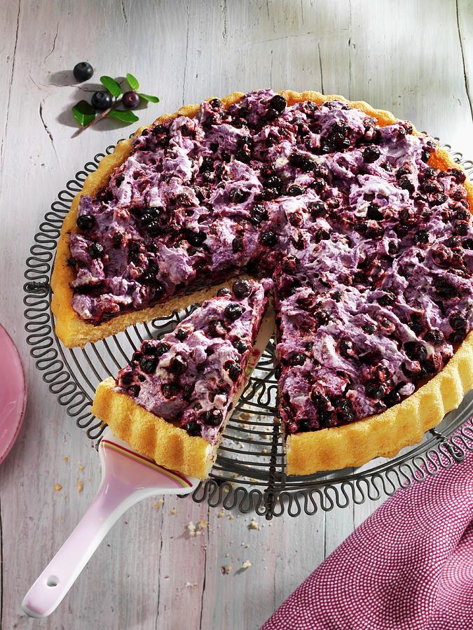 Quick Blueberry Cake Photograph by Karl Newedel