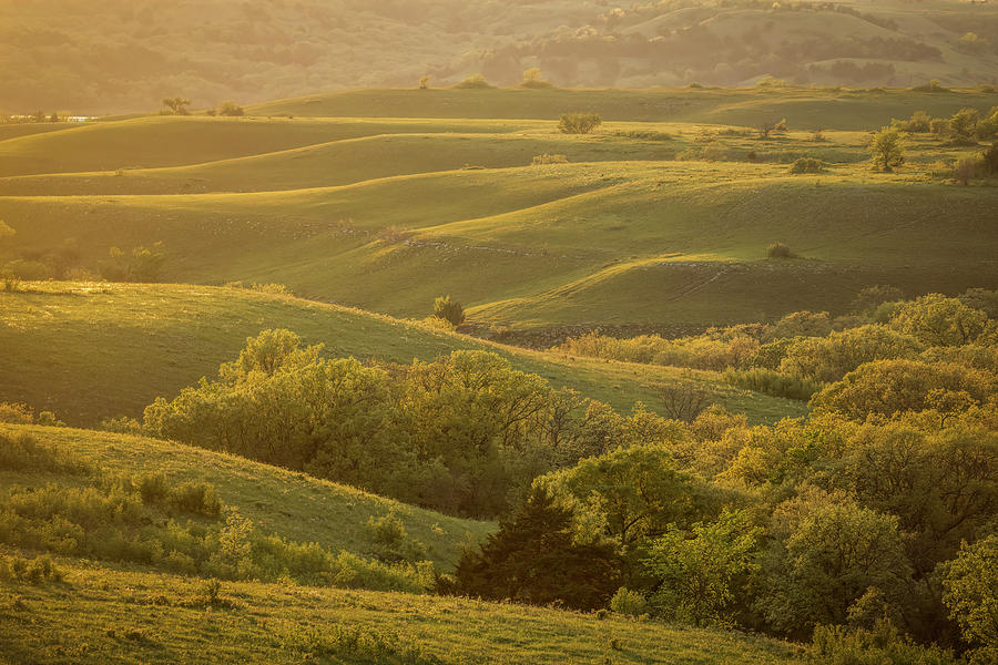 Quiet Beauty by Scott Bean Quiet Beauty by Scott Bean