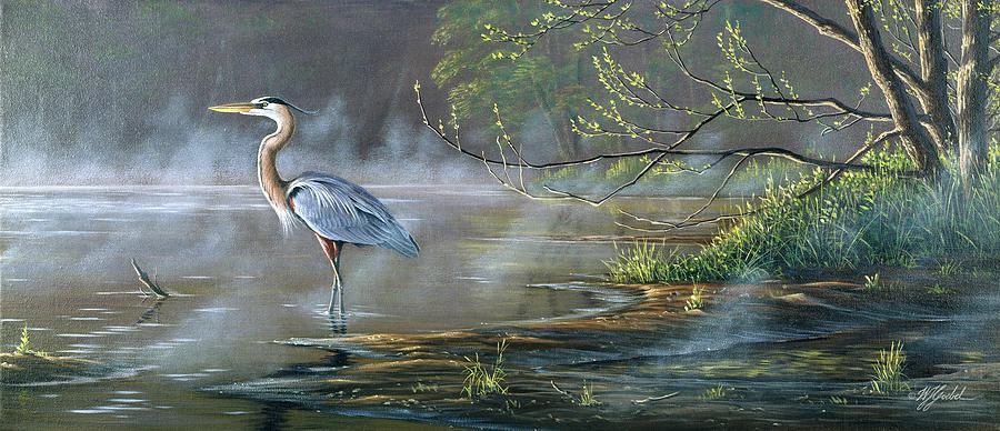 Animal Painting - Quiet Cove - Great Blue Heron by Wilhelm Goebel