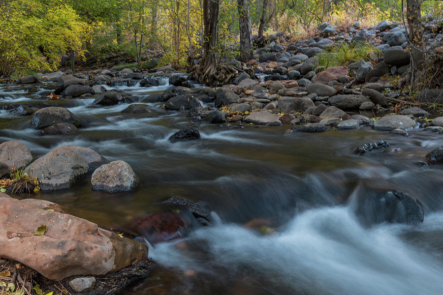 Quiet Creek Photograph by TM Schultze