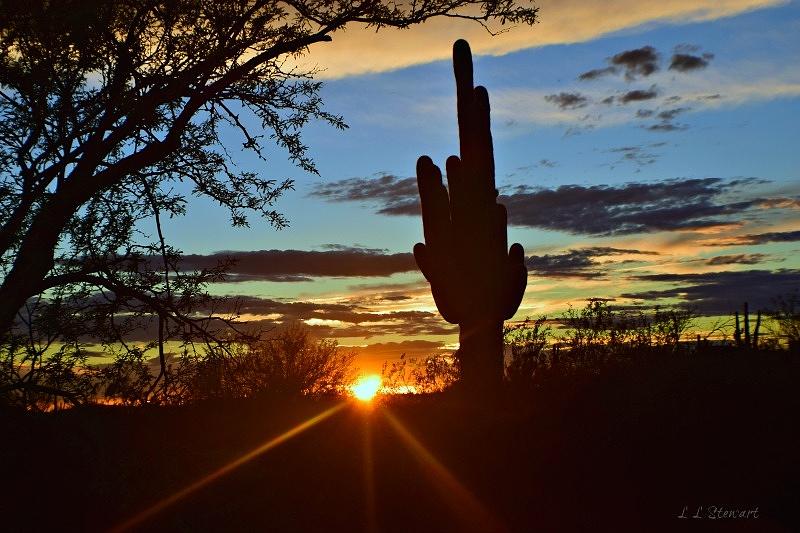 Quiet Desert Sunset Photograph by L L Stewart