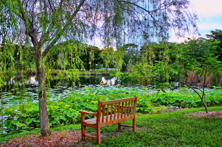Quiet Garden Photograph by HH Photography of Florida
