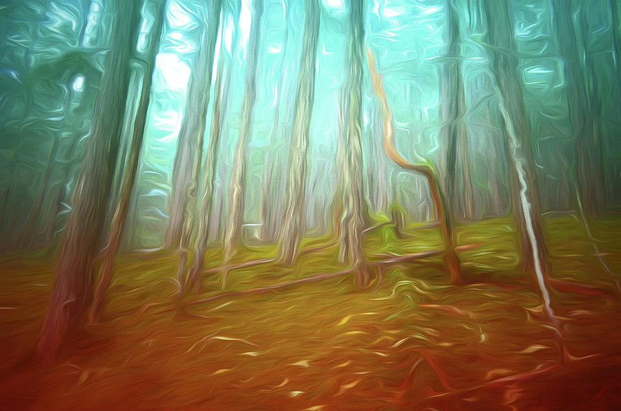 Tree Digital Art - Quiet In The Colour by Tara Turner Tree Digital Art - Quiet In The Colour by Tara Turner
