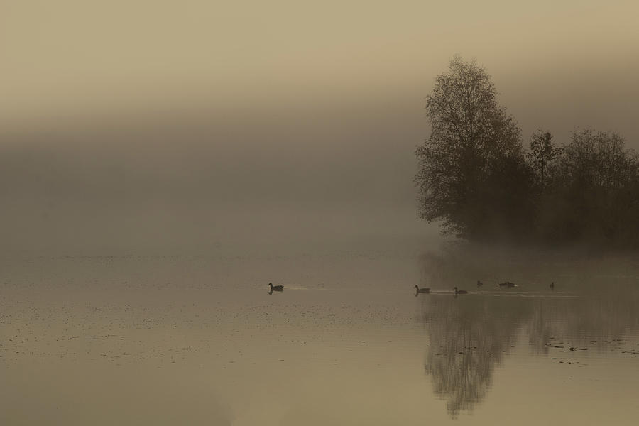 Quiet Morning on Haley Pond by Jeff Folger Quiet Morning on Haley Pond by Jeff Folger